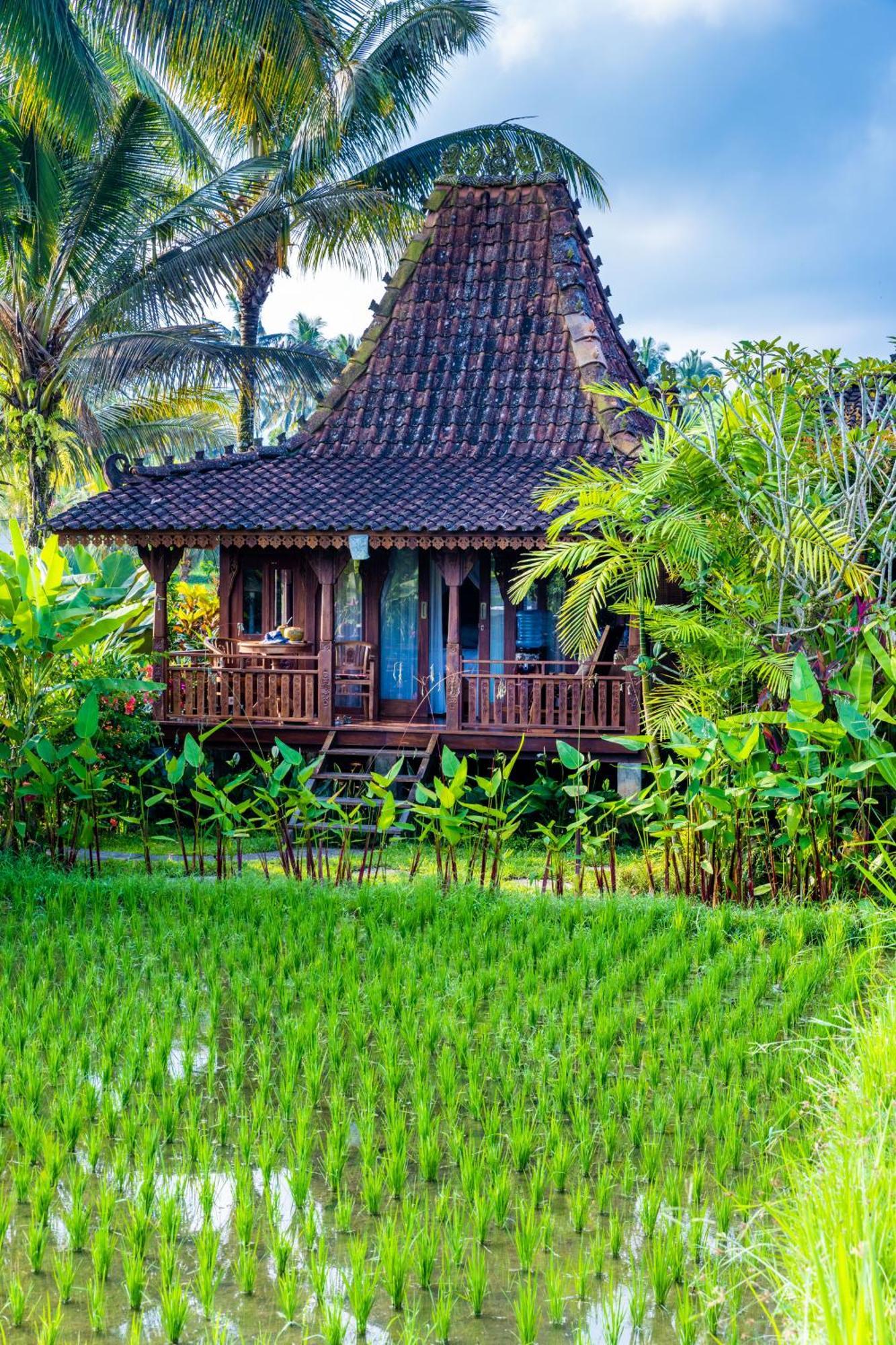 Villa Neyang Ubud Exterior foto